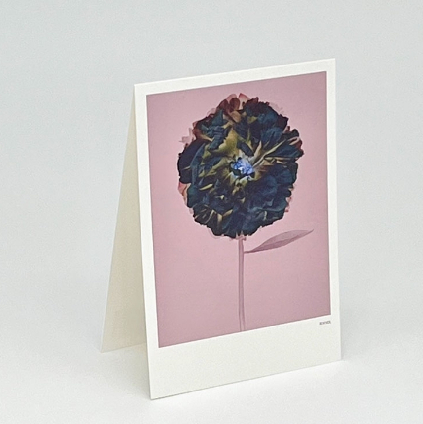 Aufstellkarte -SnowDrop 02, Grau, Schneeglöckchen, Florale Grußkarte mit Umschlag von Studio Rijkvol  