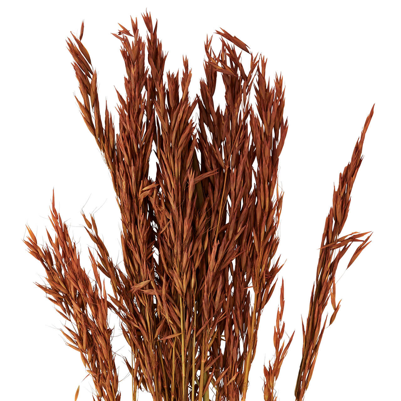 Madam Stoltz Weichweizen terracotta, Boho Style Madam Stoltz Weichweizen terracotta, Boho Style