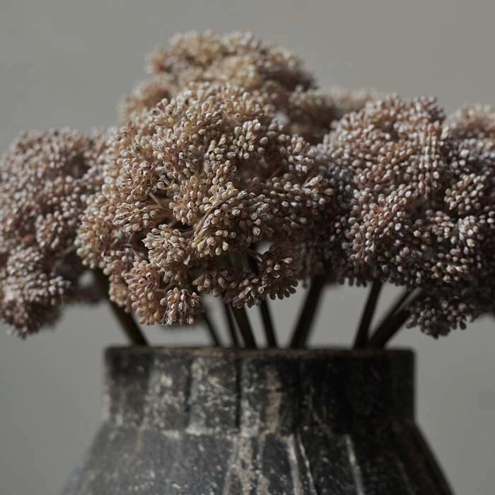 % Fetthenne  Deko, Länge  ca. 35 cm, Abigail Ahern Sedum Cloud, Kunstblume 