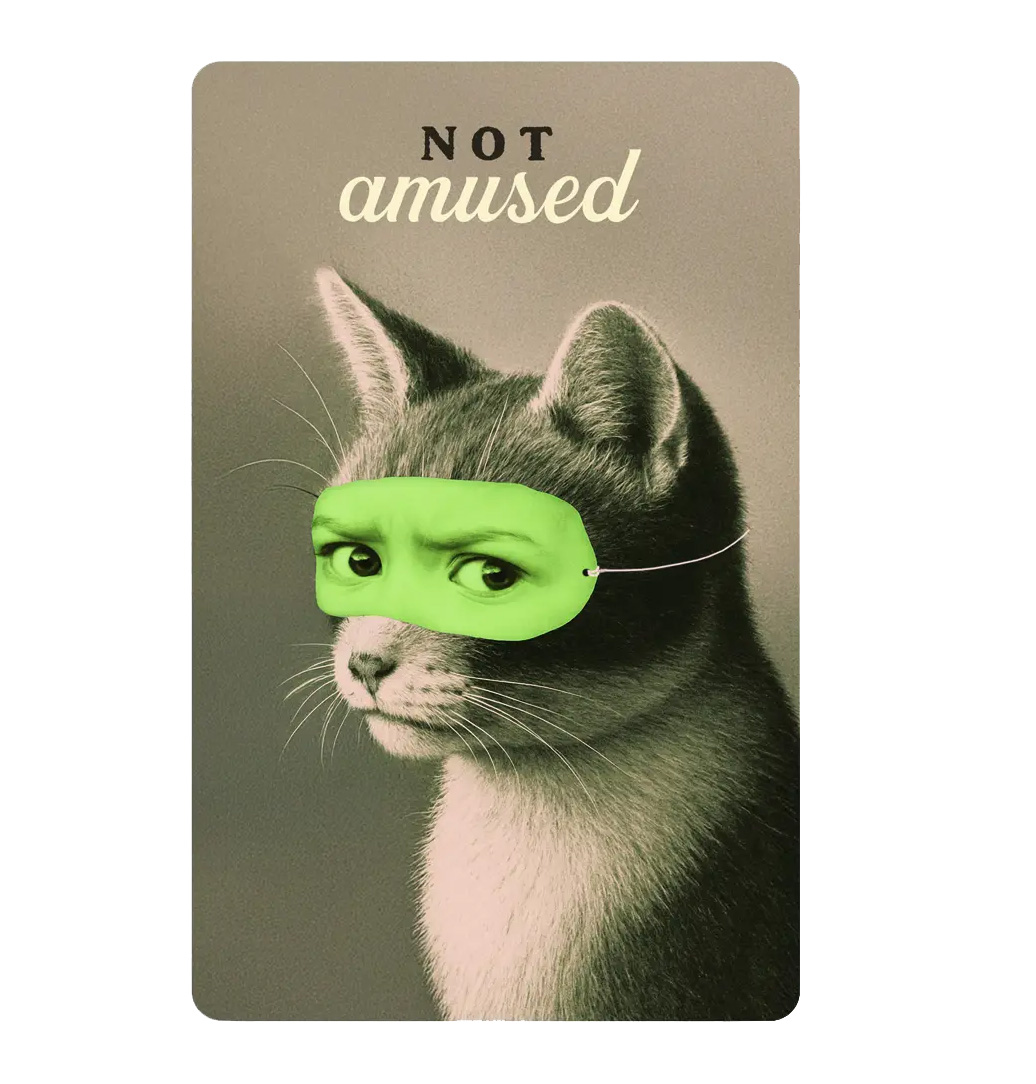 Lunacard Postkarte not amused, Katze