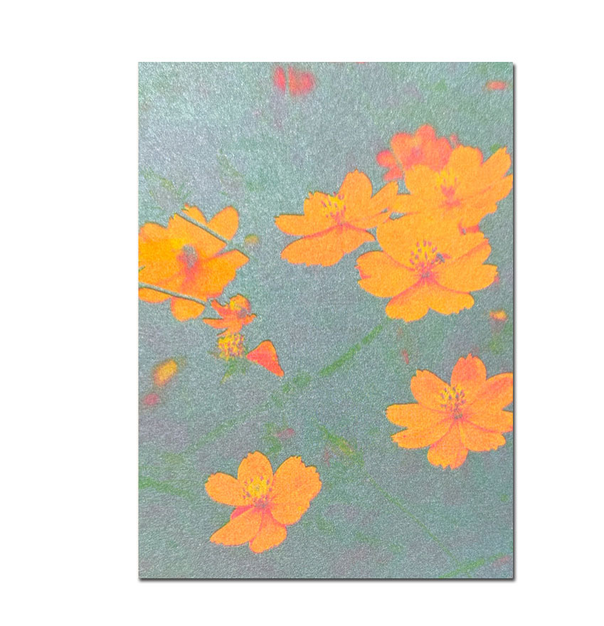 Herr und Frau Rio Postkarte Blumen Kosmee , Risographie Postkarte