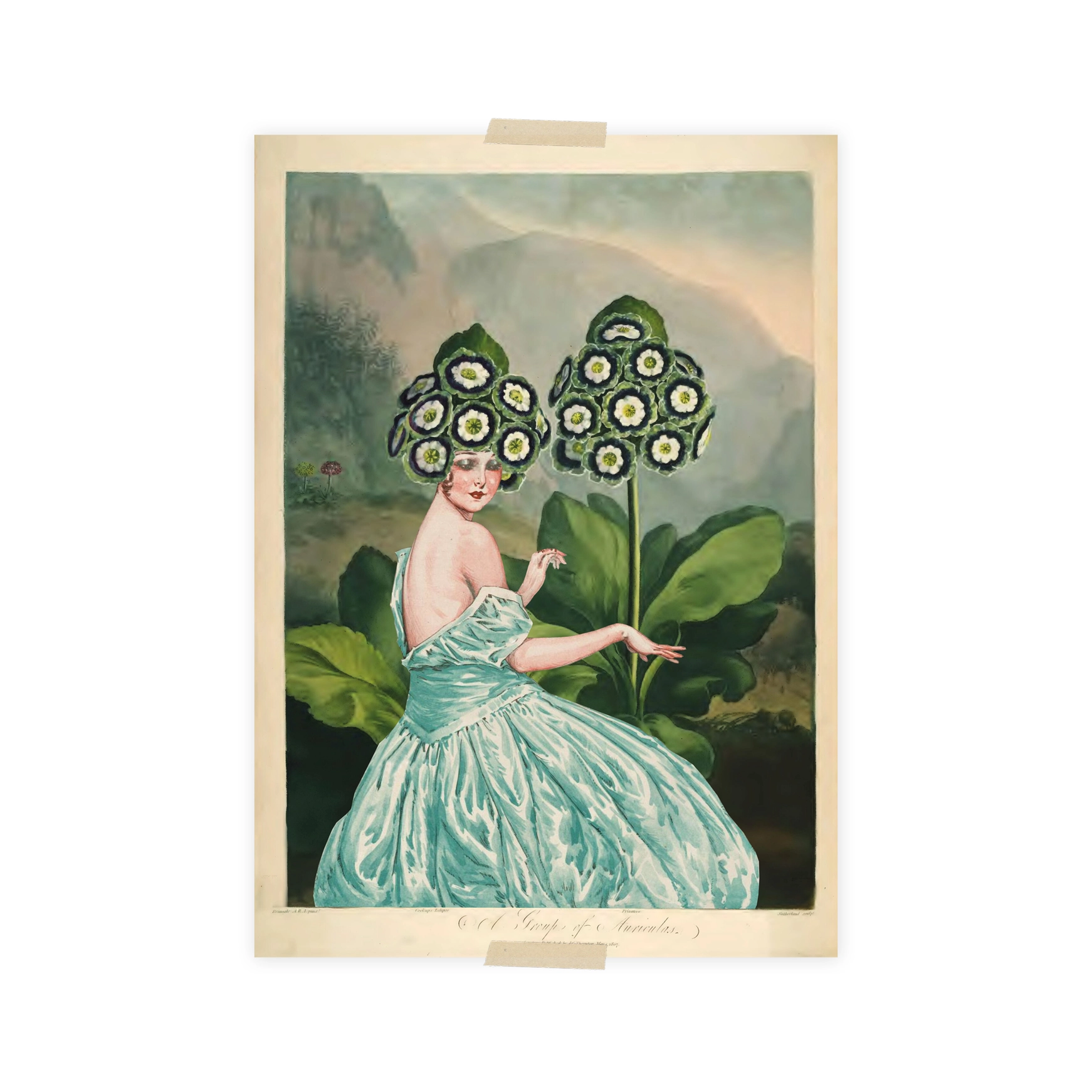 Lylies Postkarte Tempel der Flora - Auriculas/Primrose von Lylies