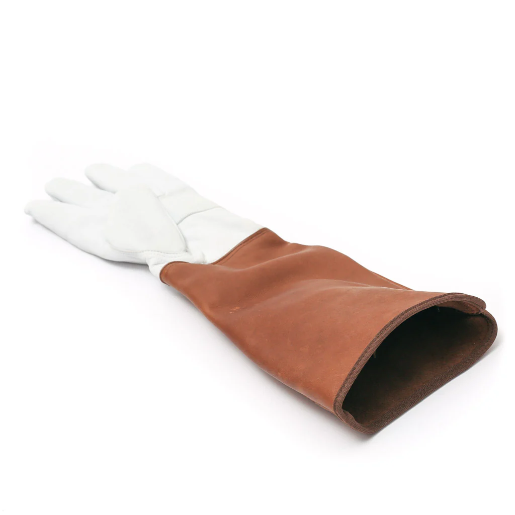 Rosenhandschuhe aus Leder, Damen Größe S