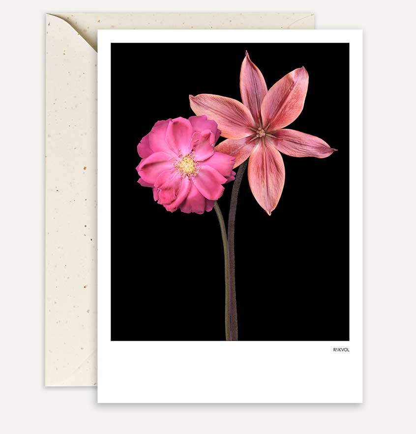 Aufstellkarte -BlackEdition- FlowerCollab 01, Florale Grußkarte mit Umschlag von Studio Rijkvol 