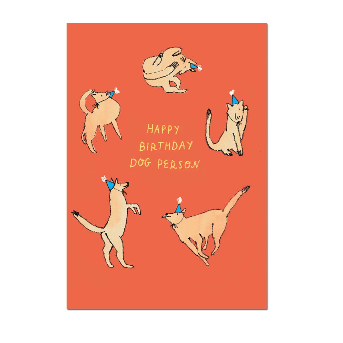 Roger la Borde Doppelkarte "Happy Birthday Dog Person",  Geburtstag,  Hunde