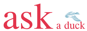 ask a duck