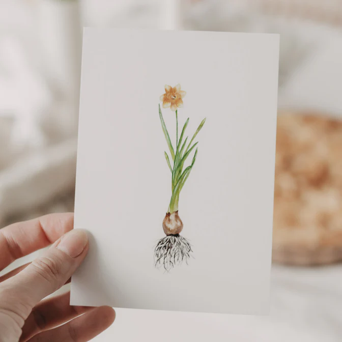 Eulenschnitt Postkarte Daffodil/ Narzisse