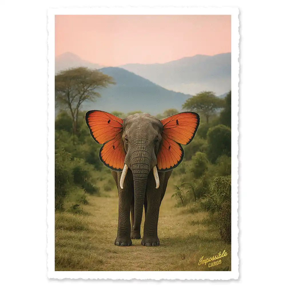 Impossible Card Postkarte Butterfly Elephant