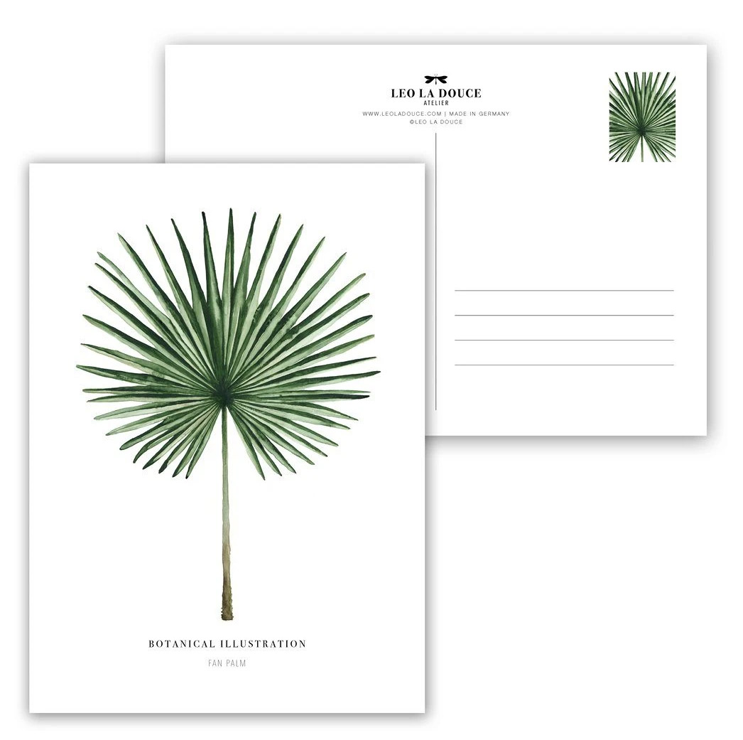 Leo la Douce Postkarte – FAN PALM