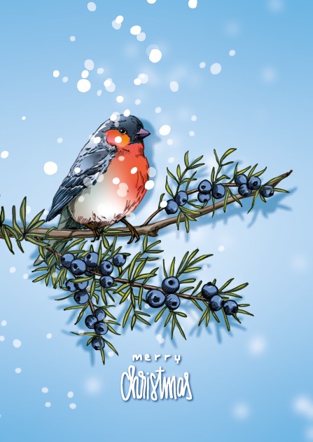 Illi Postkarte WINNI, Rotkehlchen, Merry Christmas von illi , Holzschliffpappe 