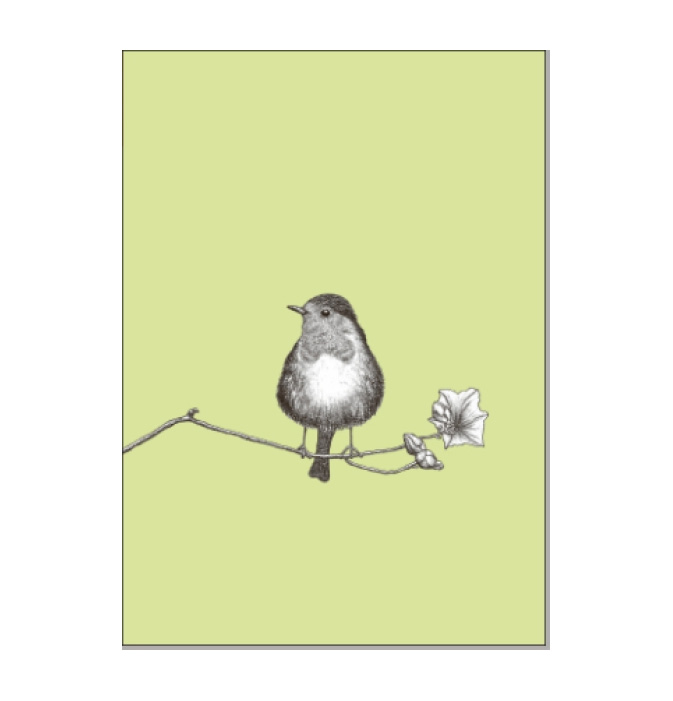 Postkarte Vogel Rotkehlchen von ask a duck 