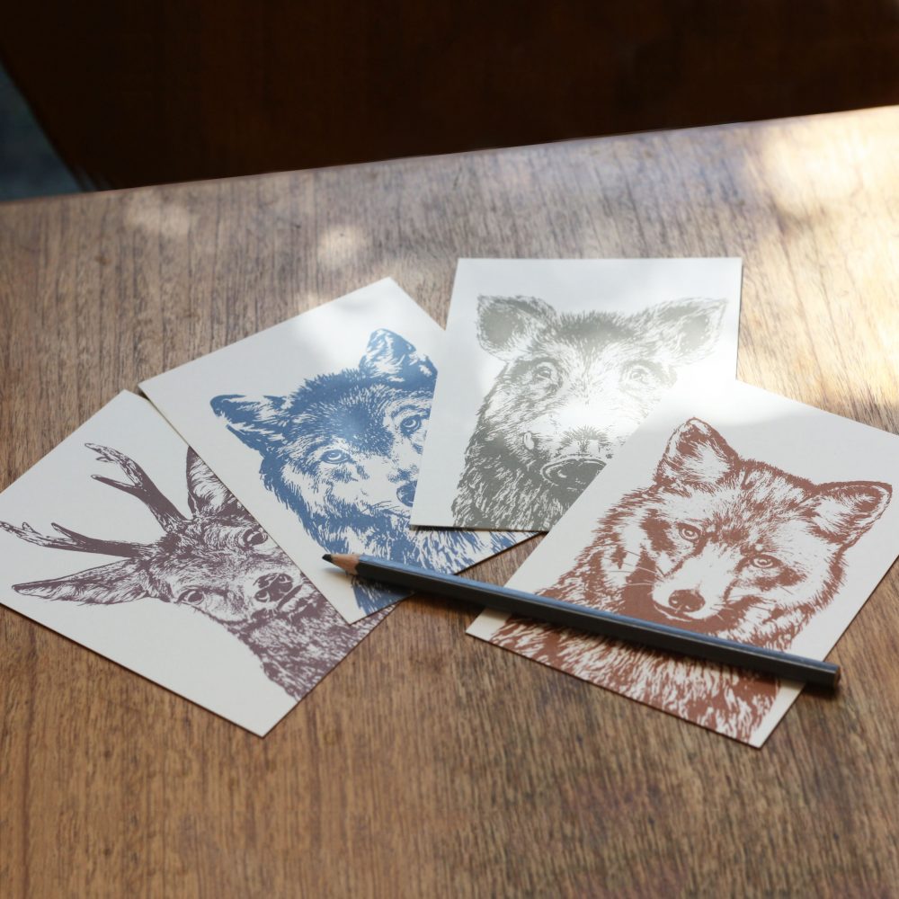 Frohstoff Postkarte Keiler/ Wildsau olivgrau