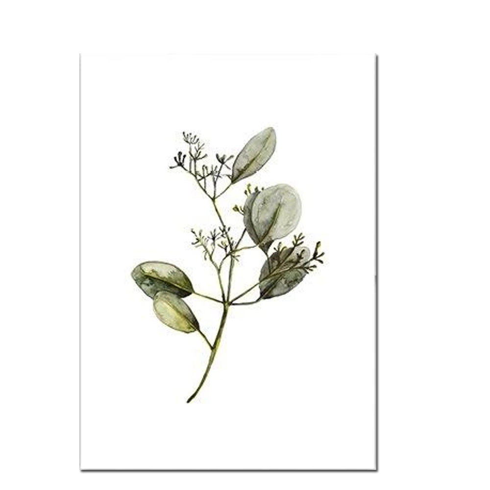 Leo la Douce Postkarte – EUCALYPTUS WITH BLOSSOM 