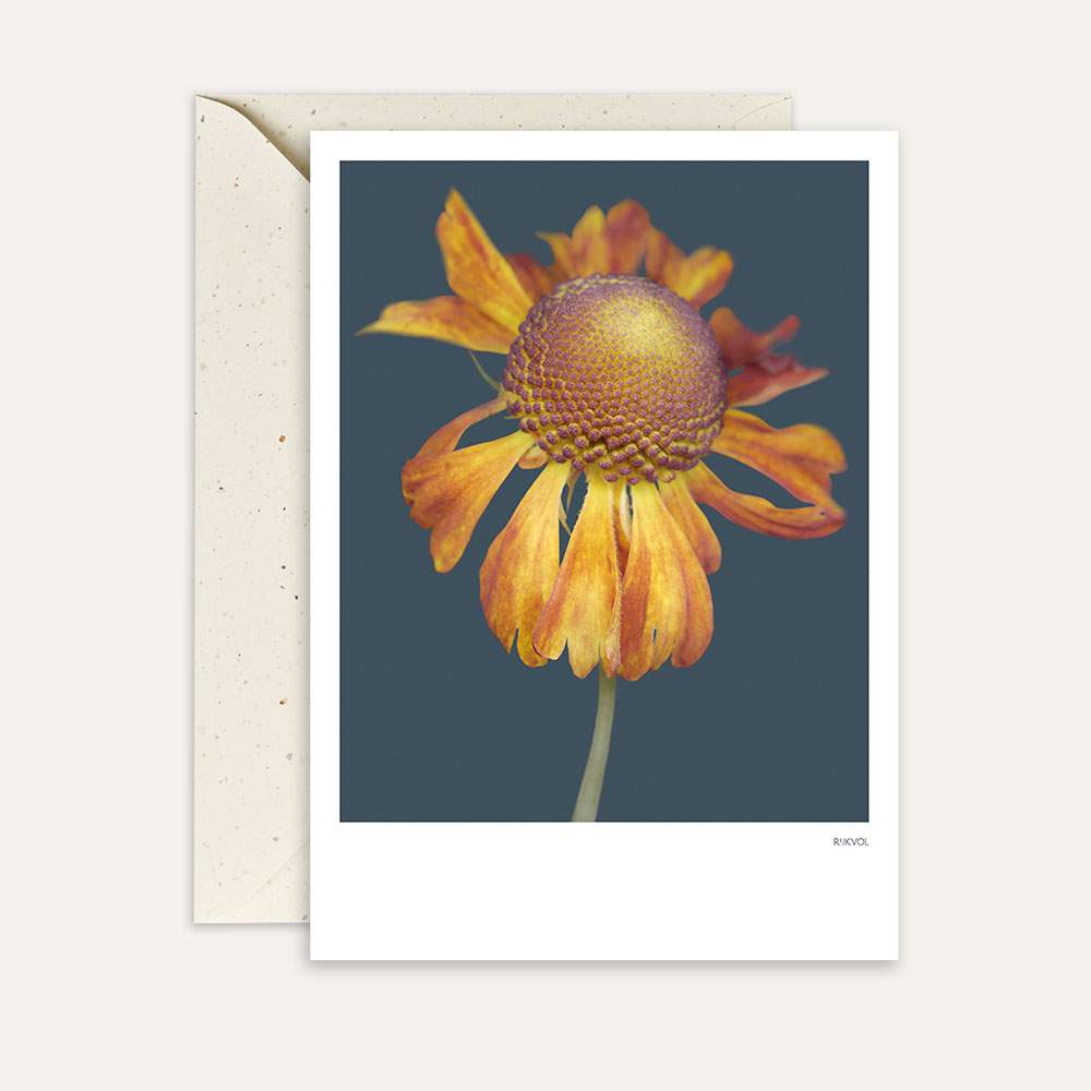 Aufstellkarte -Helenium 01 - Blue, Florale Grußkarte mit Umschlag von Studio Rijkvol  