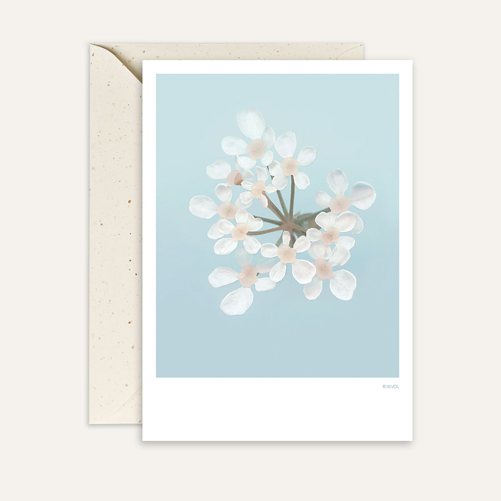 Aufstellkarte -CowParsley 01, Blüte des Flötenkrauts, Florale Grußkarte mit Umschlag von Studio Rijkvol   