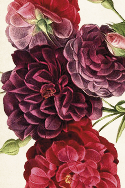 Vintage Postkarte Rosen von Sköna Ting Postkarte Historische Rosen
