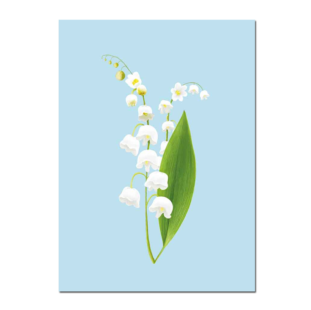 Postkarte Maiglöckchen, Frühling von m-illu