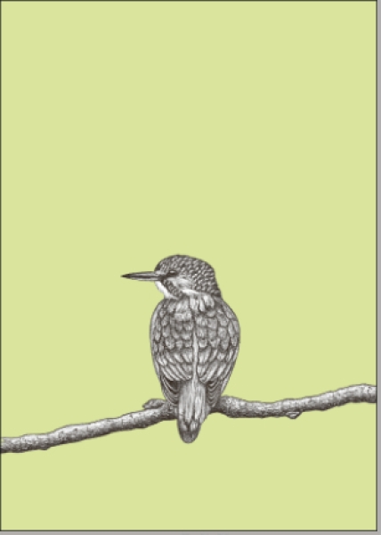 Postkarte Vogel Eisvogel von ask a duck 