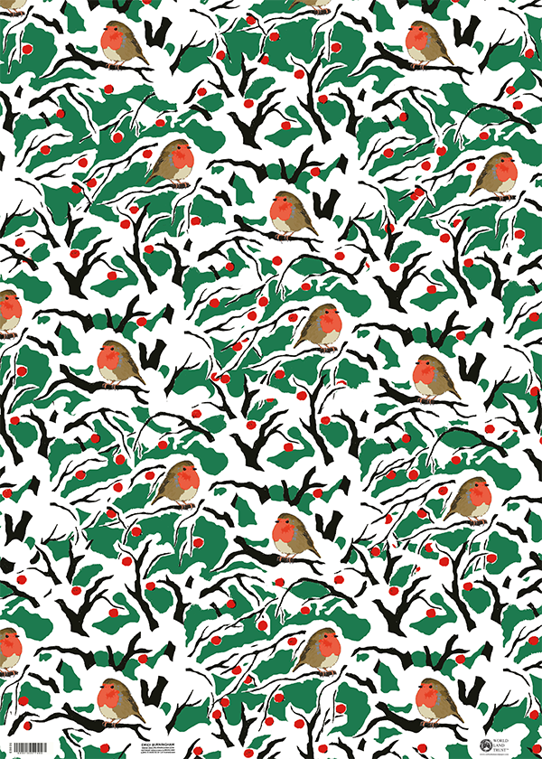 Geschenkpapier ROBINS IN BRANCHES , ca. 50 x 70 cm von Emily Burningham, Rotkehlchen