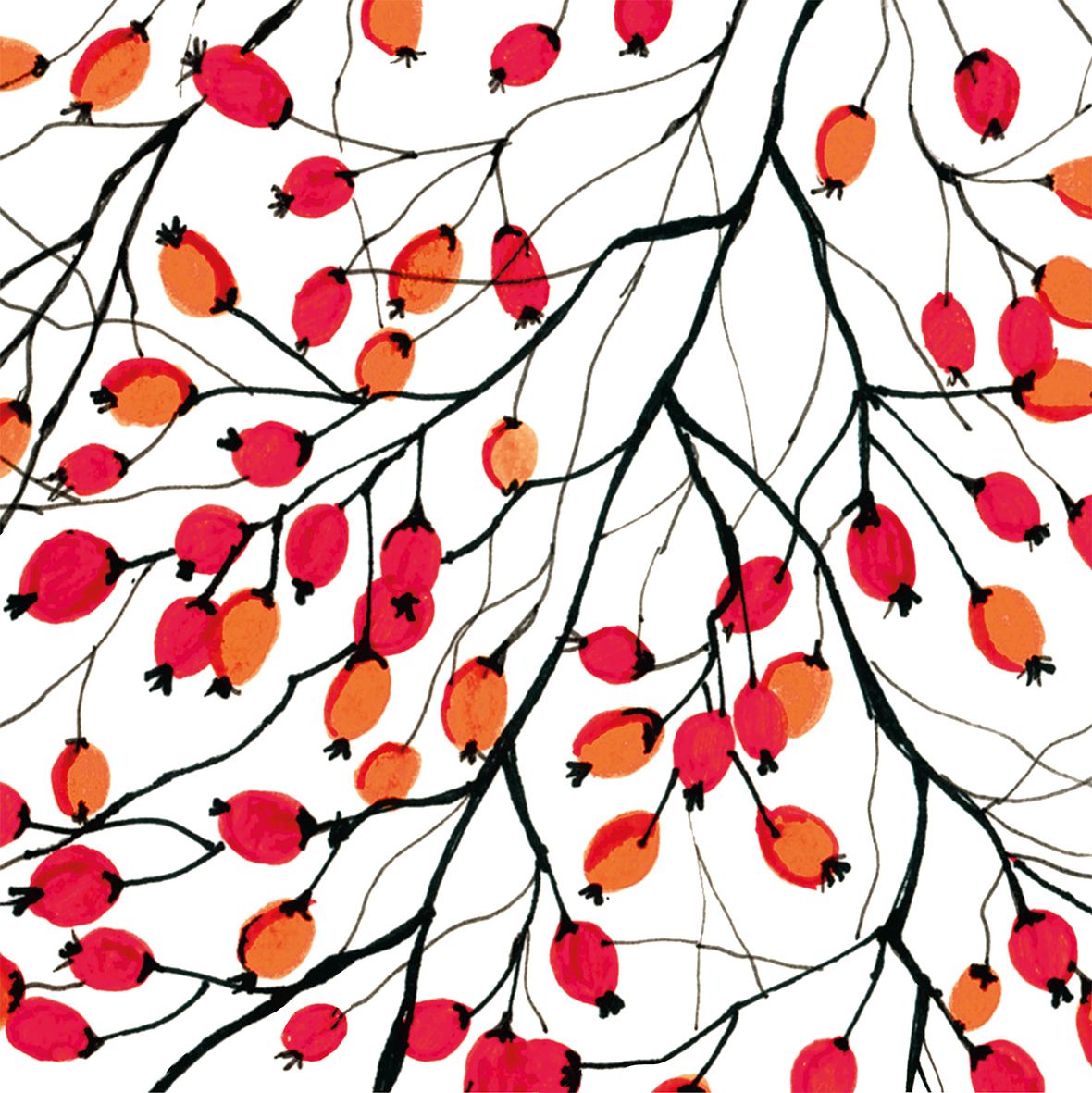 Papierservietten Aquarell Rosehip,  33 x 33 cm  von PPD , Hagebutten, Herbst