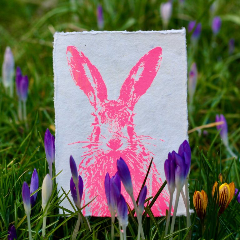 Frohstoff Kunstdruck - Feldhase, neonpink, ca. 10,5 x 14,8 cm