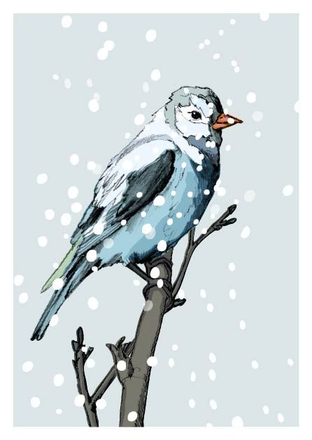 Postkarte - Henriette von illi, Winter, Vogel, Weihnachten