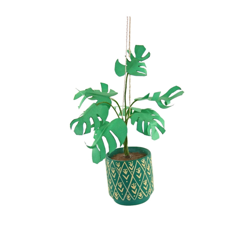 Weihnachtsschmuck Zimmerpflanze, Urban Gardening