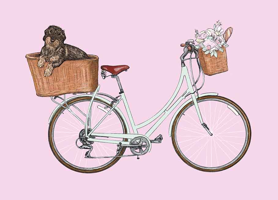 Postkarte Fahrrad mit Dackel von m-illu