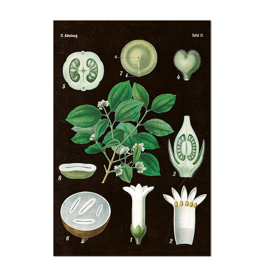 Postkarte Sköna Ting Vintage  Tafel 11