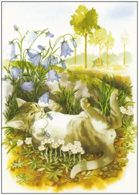 Postkarte Inge Löök "Katze spielt mit Gartenblumen"  Löök Postkarte Katze