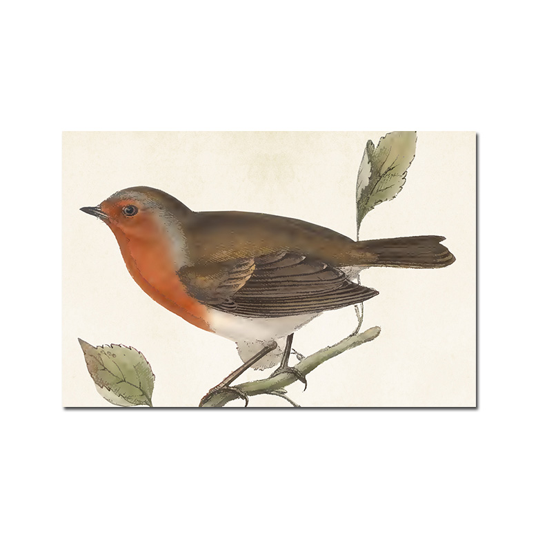 Vintage Postkarte Rotkehlchen von Sköna Ting Postkarte Vogel