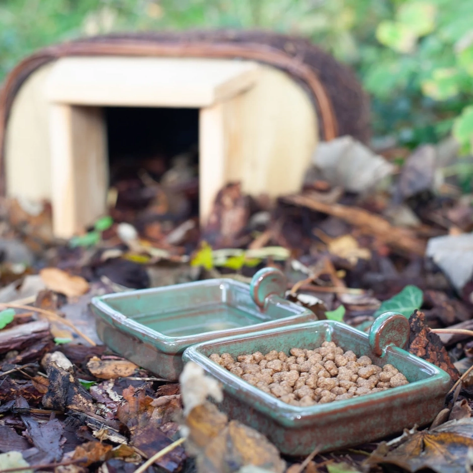 Wasserschale für Igel