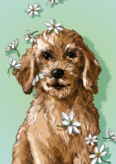 Postkarte TAVO  Hund von illi  