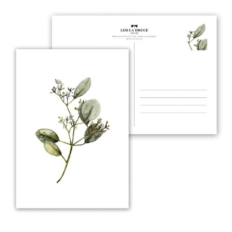 Leo la Douce Postkarte – EUCALYPTUS WITH BLOSSOM 