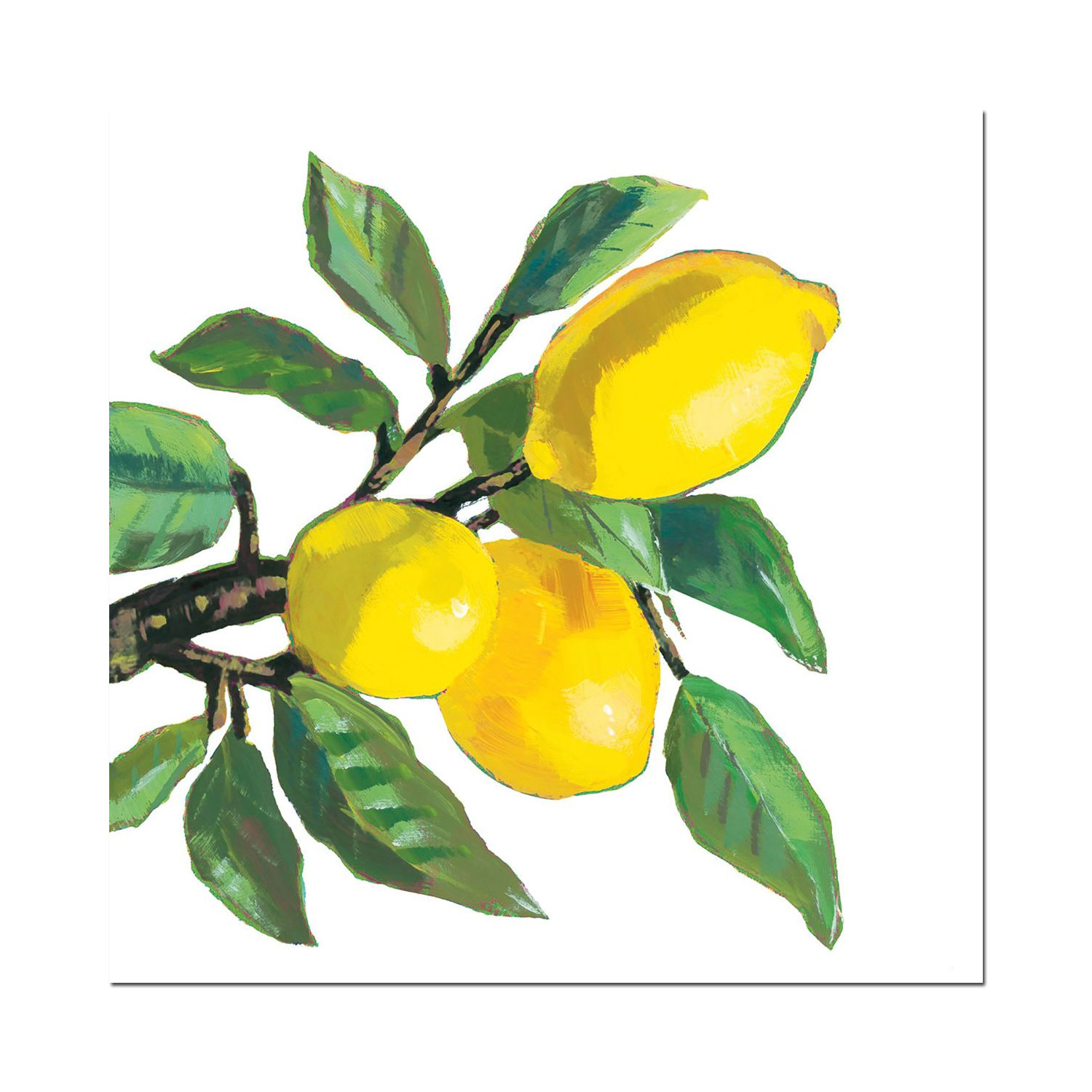 Papierservietten Zitronen, 25 x 25 cm  , Cocktailservietten , ppd , Lemon Musée white