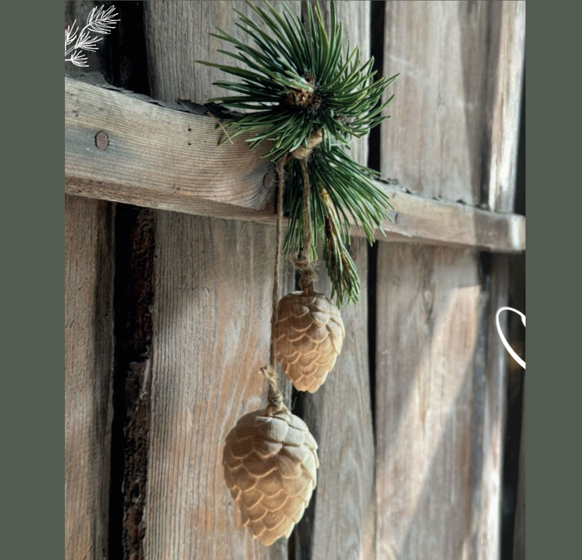 Zirbenzapfen 6 cm Natur Zirbel  Zirbenholz