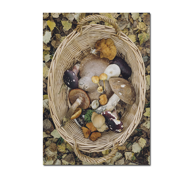 Sköna Ting Notizheft, 12x17 cm, Pilze, PAPERLY Notebooks - 12x17 cm Mushroom basket