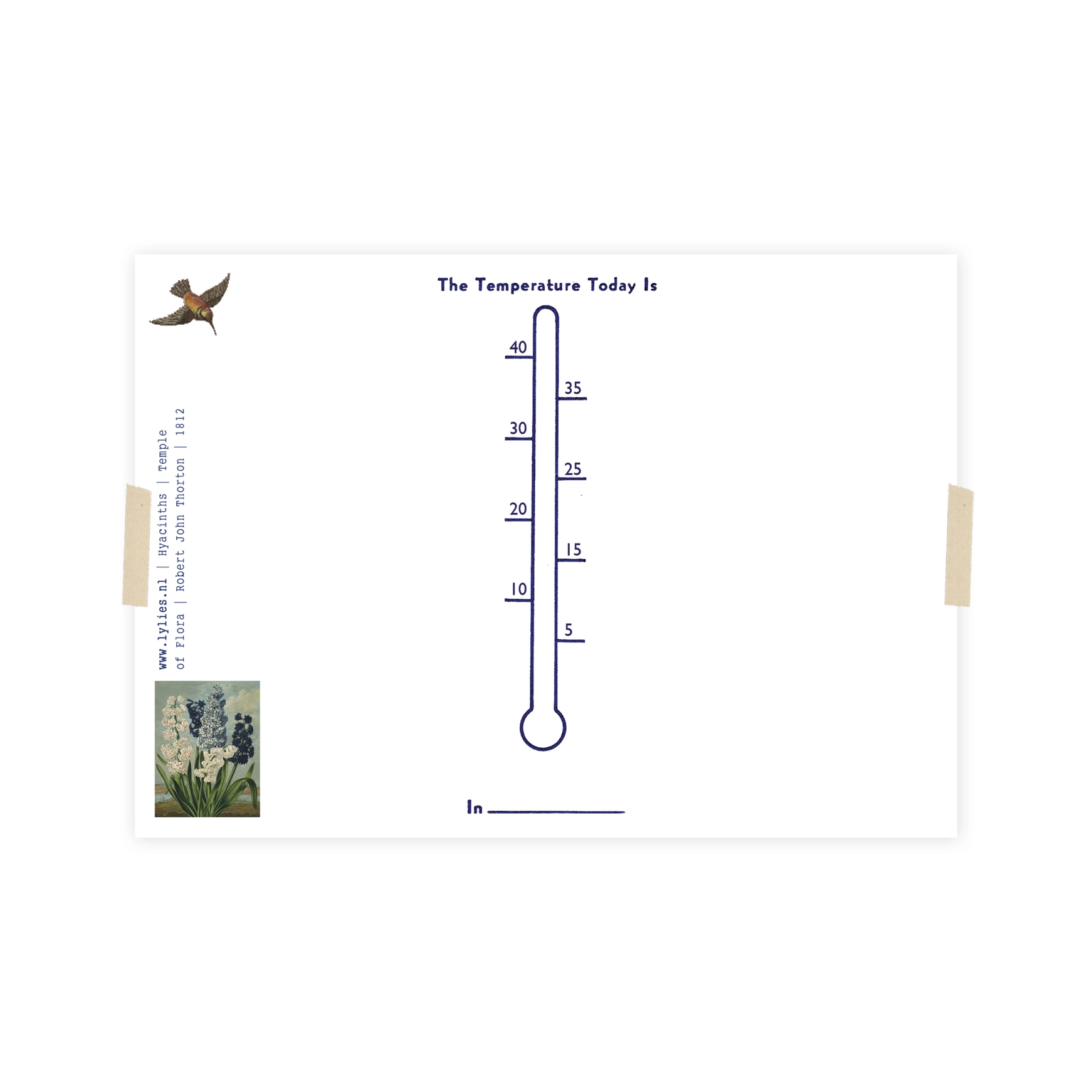 Lylies Postkarte Tempel der Flora - Hyazinthen/Hyazinthen von Lylies