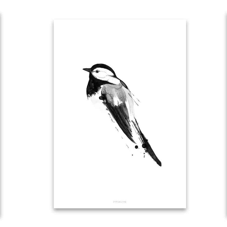 Typealive Postkarte "Birdy No. 1"   Vogel  