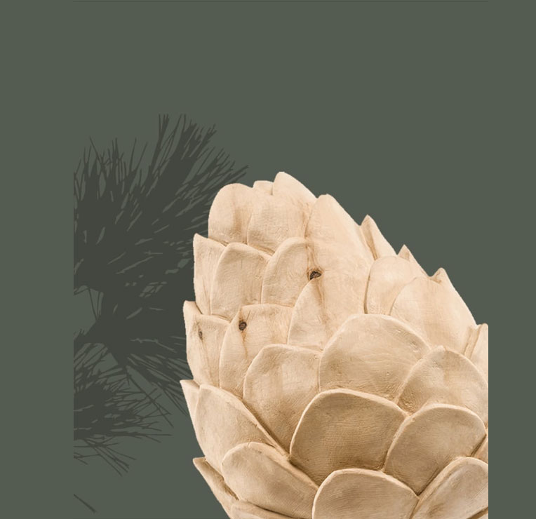 Zirbenzapfen 11 cm , Zirbenholz Natur Zirbel