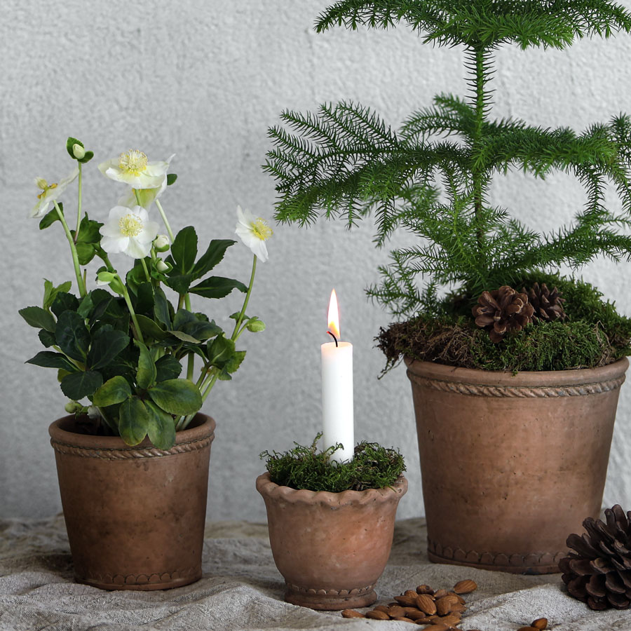 Übertopf TERRA , Größe XL,  D. ca. 20, Höhe ca. 18 cm 