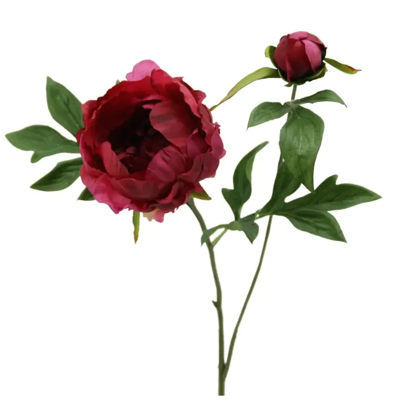 Pfingstrose mit Knospe, beauty, ca. 73 cm, Kunstblume