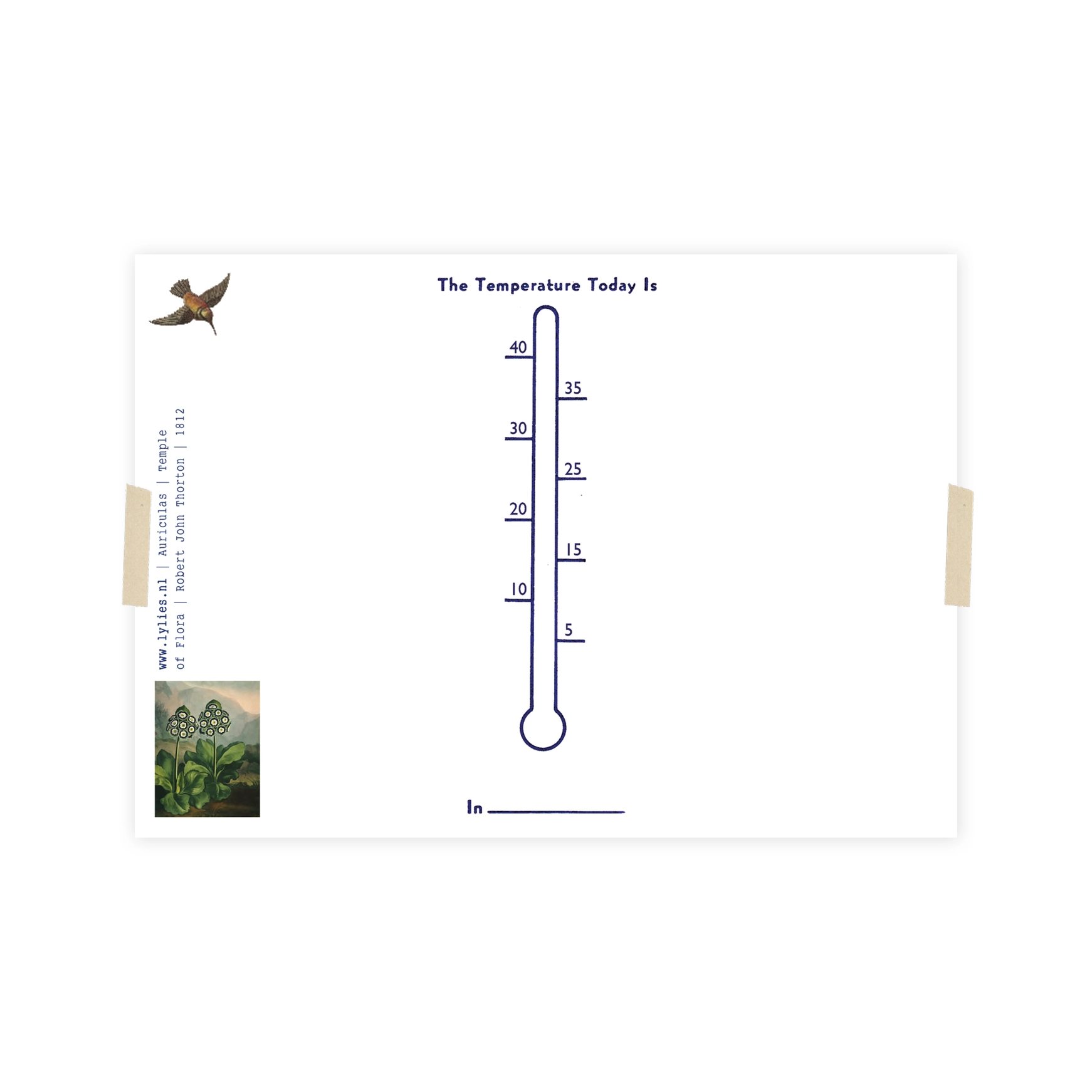 Lylies Postkarte Tempel der Flora - Auriculas/Primrose von Lylies