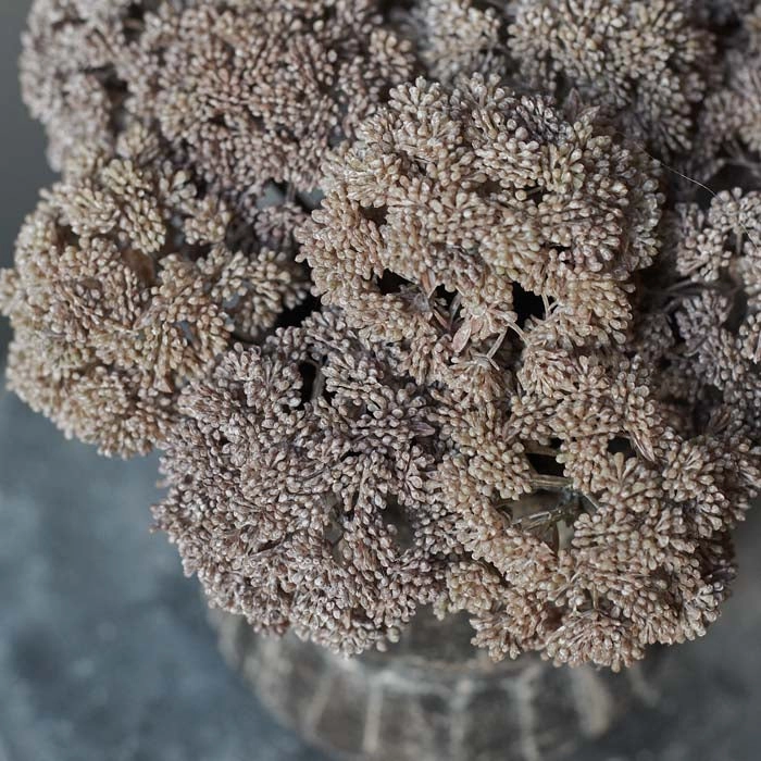 % Fetthenne  Deko, Länge  ca. 35 cm, Abigail Ahern Sedum Cloud, Kunstblume 