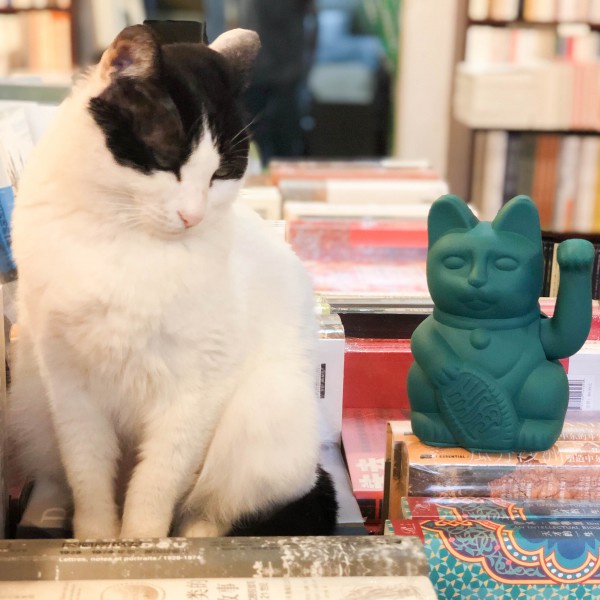 WINKEKATZE Lucky Cat / dunkelgrün/ Glückskatze von donkey products, Katze