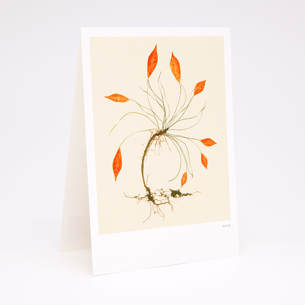 Aufstellkarte -FlowerCollage 02, Florale Grußkarte mit Umschlag von Studio Rijkvol   