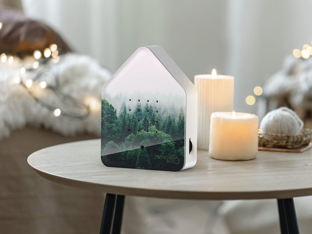 Zwitscherbox Morning Forest von Zwitscherbox  , limitierte Auflage