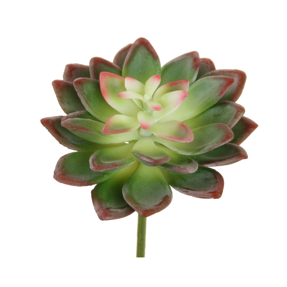Dachwurz Echeveria, ca. 10 x 11cm, Kunstblume, rosa-burgund