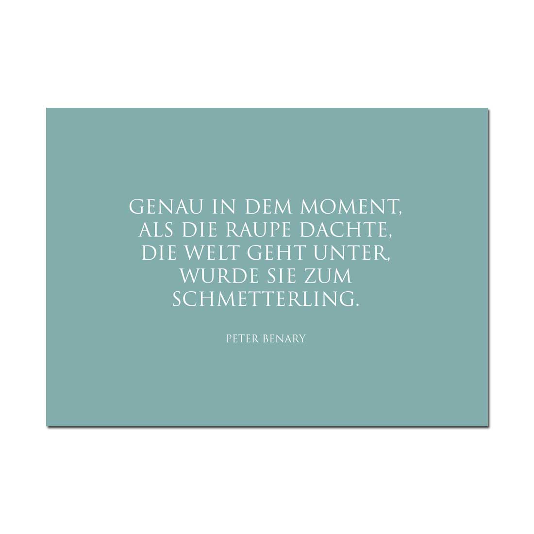 Wunderwort Postkarte "Schmetterling" Peter Benary