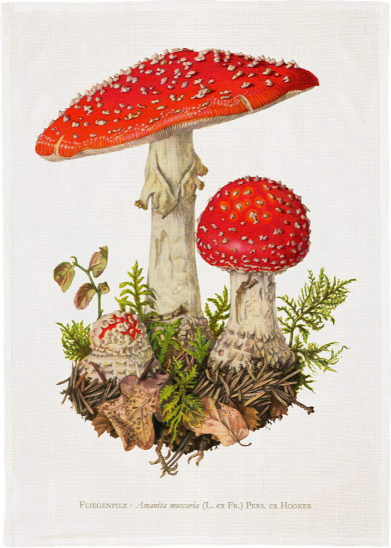 Sköna Ting Geschirrtuch "Fliegenpilz" ,  ca.50 x 70 cm, Baumwolle    
